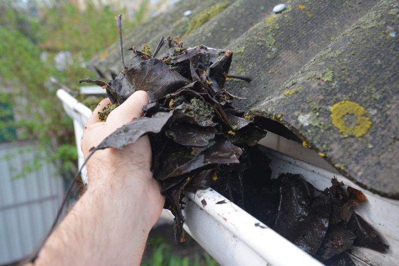 Clogged Gutter Clearing in Rochester, NY