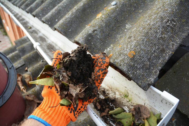 Garage Gutter Cleaning in Annapolis, MD