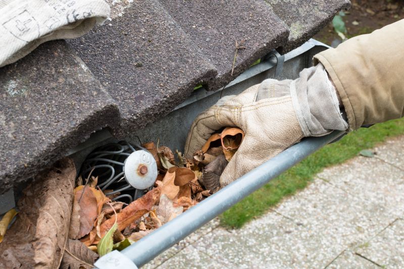 Gutter Cleaning in Fredericksburg, VA