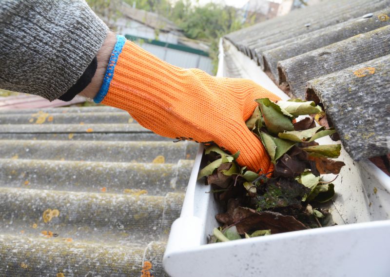 Gutter Leaf Clearing in Longmont, CO
