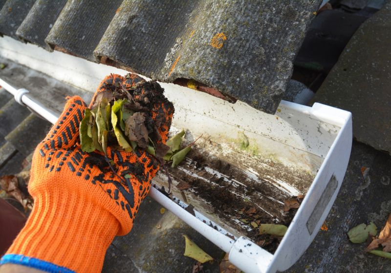 Roof Gutter Cleaning in Monmouth County, NJ