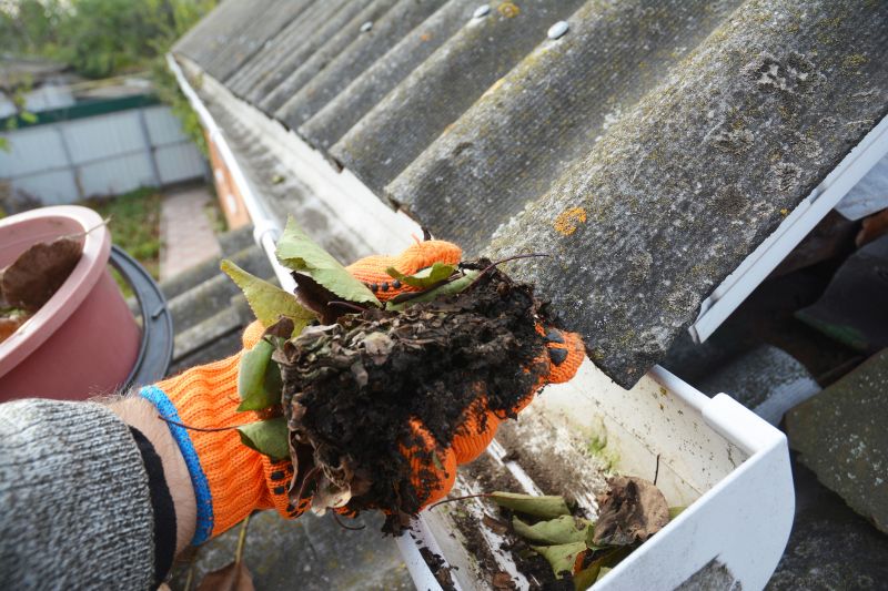 Roof Gutter Cleaning in Boulder, CO