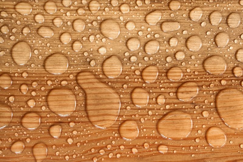 Wood Waterproofing in Puyallup, WA